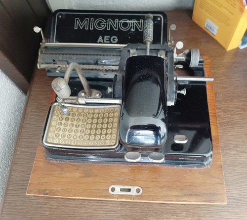 Aeg mignon - mignon, 4